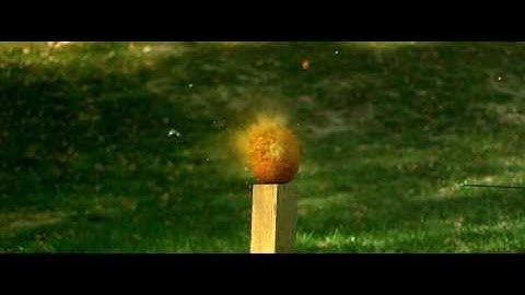 Phantom v12.1 Pumpkin Archery Shotgun Disaster 15,001 frames per second - Aimed Research