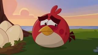 Злые птички Angry Birds Toons 2 сезон 7 серия Именно так все серии подряд Злые птички Angry Birds Toons 2 сезон 7 серия Именно так все серии подряд