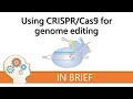 Crisprcas9 genome editing  gene editing explained