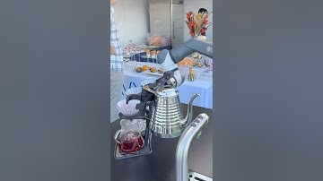 #RobotBartender at #CHIMAC-FEST 2025 — Crafting Your Perfect #Sake Tea #锐视频 #unenews #travel