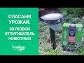 Когда соседские кошки подкапывают грядки. Спасаем урожай от незваных гостей-животных.