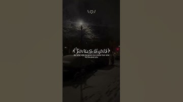 سورة النمل للقارىء ياسر الدوسري #اكسبلور #لايك  #المصحف