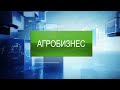 Программа «Агробизнес» от 22 июля 2020 года