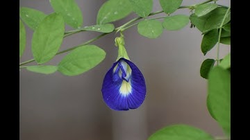 Assignment 7: Video 2