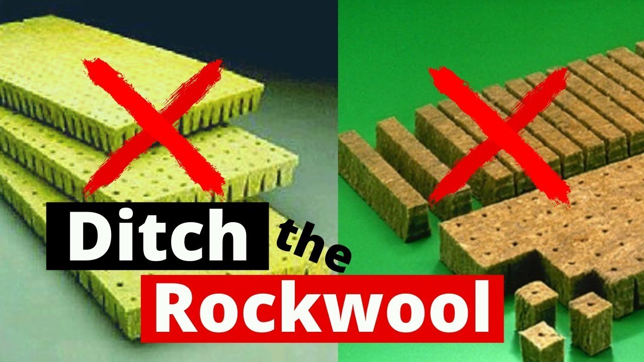 Use This Instead of Rockwool for DIY Hydroponics, Cheap and Easy 