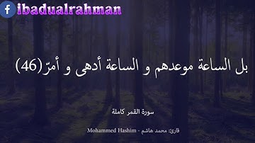 تلاوة قصيرة للقارئ محمد هاشم من سورة القمر {سَيُهْزَمُ ٱلْجَمْعُ وَيُوَلُّونَ ٱلدُّبُرَ}