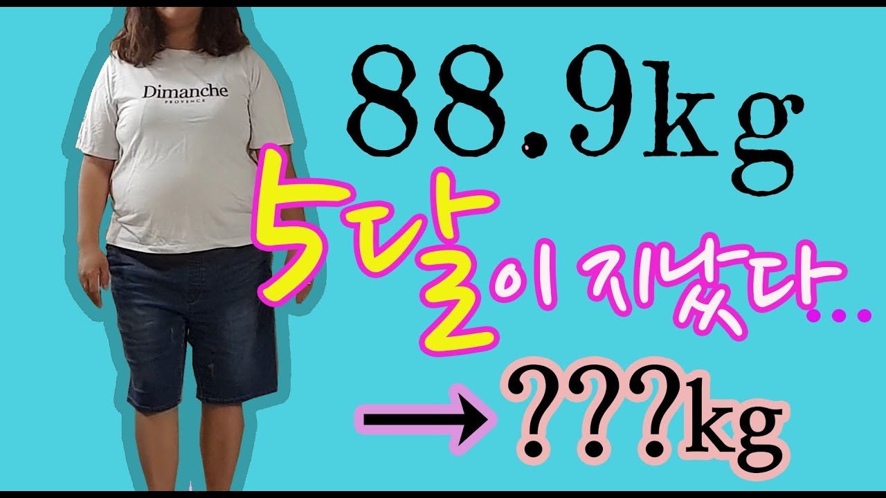 [다이어트 5달 경과보고] 88.9kg→???kg 인바디+눈바디 공개 고도비만 다이어트 5달 후기