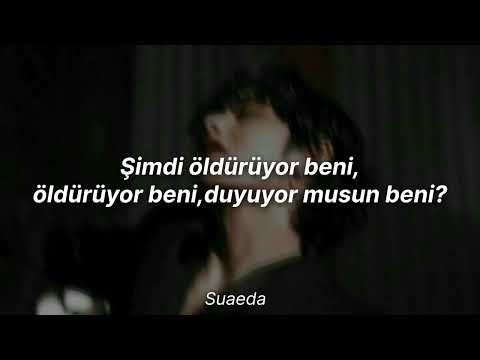 BTS-Black Swan (Türkçe Çeviri)