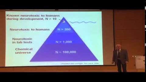 How Pollutants Impair Brain Development