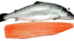 Ikan Salmon Untuk Bayi - Mulai Usia Berapa - Bayi Alergi Salmon - Resep Salmon - Agar Tidak Amis - Durasi: 10.57. Ikan Salmon Untuk Bayi - Mulai Usia Berapa - Bayi Alergi Salmon - Resep Salmon - Agar Tidak Amis - Durasi: 10.57.