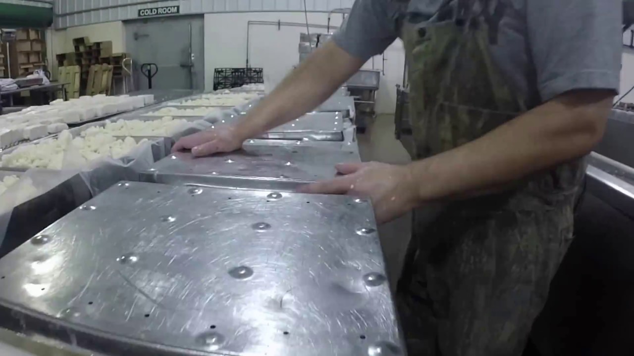 A short look into our farmstead cheese making process