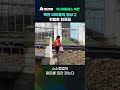 북한 아이들의 일상2　위험한 하굣길