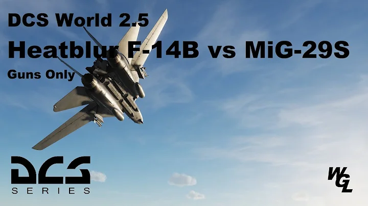 DCS World - Heatblur F-14B vs MiG-29S Guns Only Dogfight