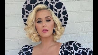 Katy Perry Faces Backlash for Consoling Family Members Who Support Donald Trump
