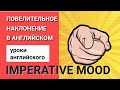 Повелительное наклонение в Английском языке (Imperative Mood) | Уроки английского для начинающих