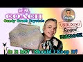 Coach Candy Crystal Rainbow Kisslock! Is It Me? Unboxing & Review