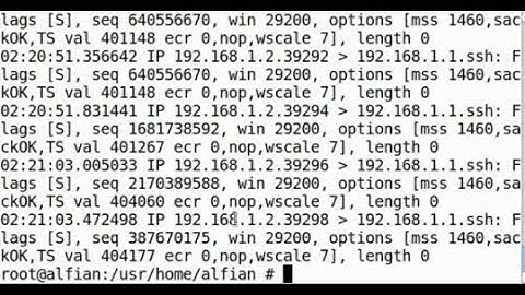 atack and defense freebsd #3 how to brute force ssh freebsd and how to save log alert snort