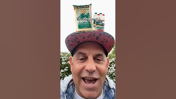 COCO A & B makes it simple