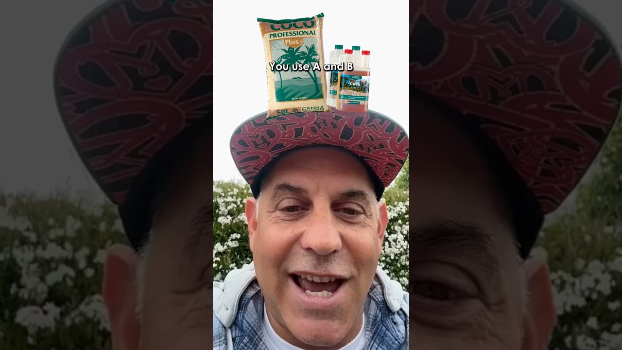 COCO A & B makes it simple