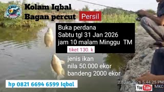 Download Lagu #Kolam Junah Iqbal di persil @MKC Mancing kelayapan channel  MP3