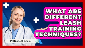 What Are Different Leash Training Techniques? - PetGuide360.com