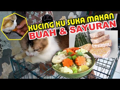 Video: Mengapa Kucing Makan Buah Dan Sayuran?