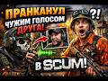 Пранканул друга чужим голосом в S.C.U.M.