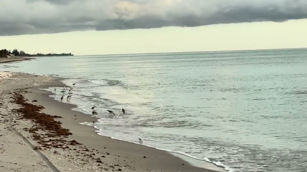 Caspersen rainbow 9 23 25 copy