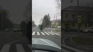Woman Rides Scooter Carrying Christmas Tree on Road