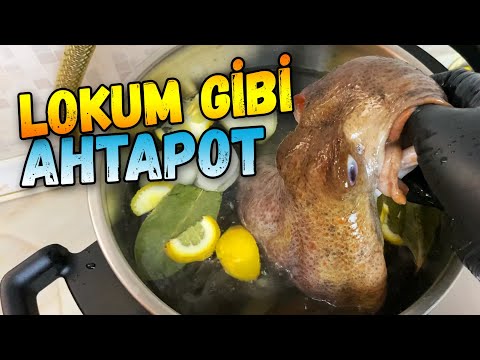 Ahtapot Nasıl Pişirilir Ahtapot Salatası Nasıl Yapılır?