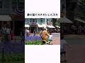 「子どもにガチギレ！」プルートに関する面白い雑学 #shorts #雑学