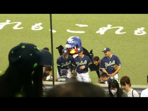 【交流戦2018】つば九郎も燕陣