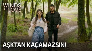 You can't run away from love, Zeynep 🏃🏻‍♀️‍➡️ | Winds of Love Episode 92 (MULTI SUB)