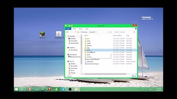How to Install Morph Mod For Minecraft! [Any Version]