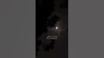 اكتب شيء تؤجر عليه | القارئ شريف مصطفى | ما تيسير من سورة مريم