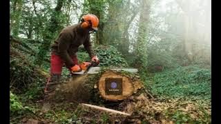 ASMR 1 JAM CHAINSAW GERGAJI KAYU MESIN SENSO