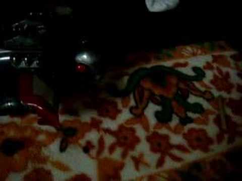 qazwsxedcrfvtgbyhnujmikolp