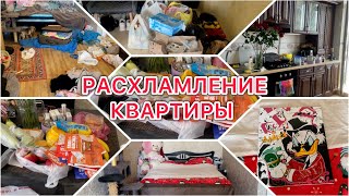 картинка: Расхламление Квартиры🏠Распаковка🛍️Груминг🐶VLOG