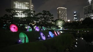 都心の夜に涼を呼ぶ光＝旧芝離宮恩賜庭園