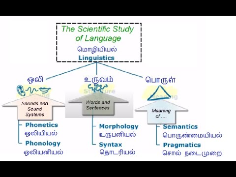 மனித மொழியை உள்ளுறை செய்யும் ஒழுங்குமுறைகளை ஆராயும் அறிவியல் மொழியியலாகும்(Linguistics).