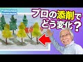 [Eng sub] Tree painting of autumn leaves / What happens when a professional corrects this Artwork?