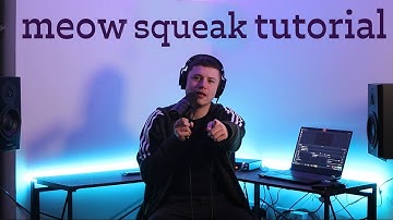 Meow Squeak Beatbox Tutorial - D-low