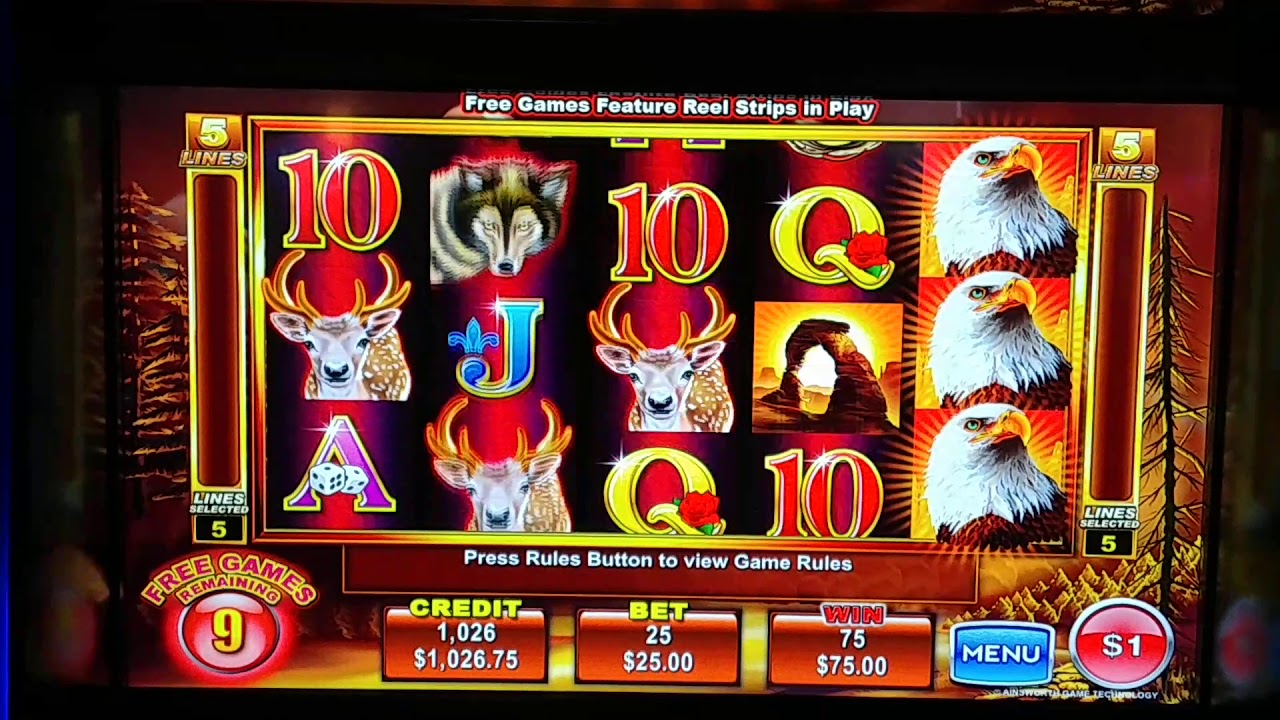 Video slot Daytona Max Power Video slot Daytona Max Power