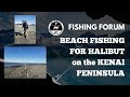 Online Fishing Forum: Beach Fishing for Halibut on Alaska’s Kenai Peninsula