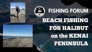 Online Fishing Forum: Beach Fishing for Halibut on Alaska’s Kenai Peninsula