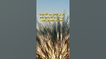 #اكسبلور #قرآن_كريم #سورة آل عمران # الآية