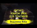 ЯЗЫКОМ ЗМЕИ. ДЛЯ ПРАКТИКОВ. ВЕДЬМИНА ИЗБА ▶️ ИНГА ХОСРОЕВА