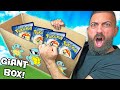 I Was Sent a GIANT 5 lb Pokemon Mystery Box!