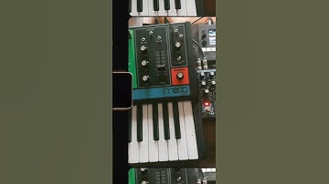 The moog grandmother doing what she does. #shorts #mooggrandmother