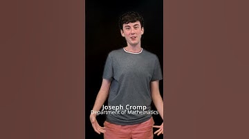 A mathematical model of election dynamics